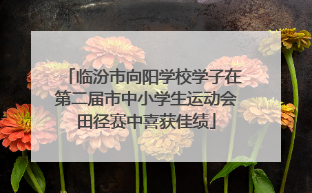 临汾市向阳学校学子在第二届市中小学生运动会田径赛中喜获佳绩
