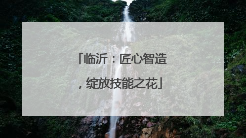 临沂：匠心智造，绽放技能之花