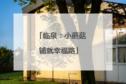临泉：小蘑菇铺就幸福路