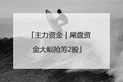 主力资金｜尾盘资金大幅抢筹2股