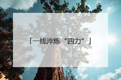 一线淬炼“四力”