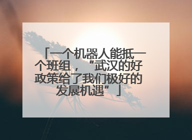 一个机器人能抵一个班组，“武汉的好政策给了我们极好的发展机遇”
