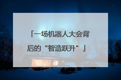 一场机器人大会背后的“智造跃升”