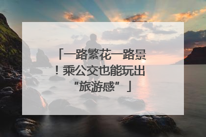 一路繁花一路景！乘公交也能玩出“旅游感”