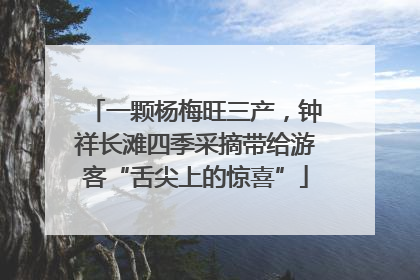 一颗杨梅旺三产，钟祥长滩四季采摘带给游客“舌尖上的惊喜”