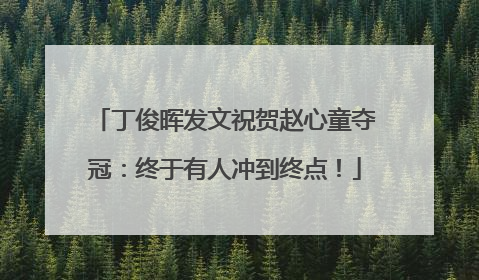 丁俊晖发文祝贺赵心童夺冠：终于有人冲到终点！
