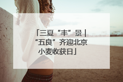 三夏“丰”景｜“五良”齐迎北京小麦收获日