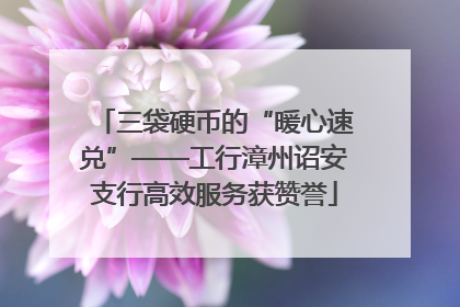三袋硬币的“暖心速兑”——工行漳州诏安支行高效服务获赞誉