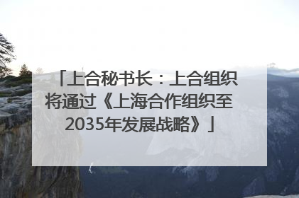 上合秘书长：上合组织将通过《上海合作组织至2035年发展战略》