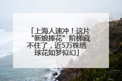 上海人速冲！这片“新娘捧花”阶梯藏不住了，近5万株绣球花如梦似幻