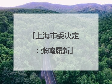上海市委决定：张鸣履新