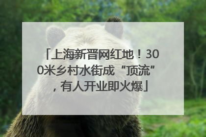 上海新晋网红地！300米乡村水街成“顶流”，有人开业即火爆