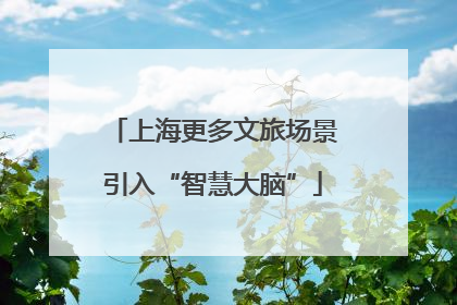 上海更多文旅场景引入“智慧大脑”