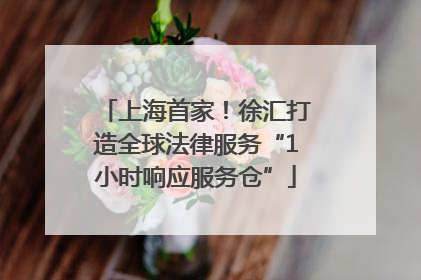 上海首家！徐汇打造全球法律服务“1小时响应服务仓”