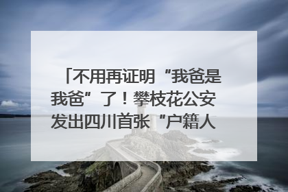 不用再证明“我爸是我爸”了！攀枝花公安发出四川首张“户籍人口直系亲属关系谱”
