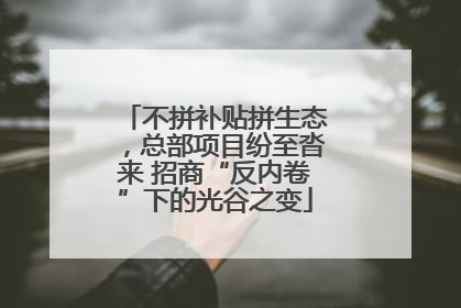 不拼补贴拼生态，总部项目纷至沓来 招商“反内卷”下的光谷之变