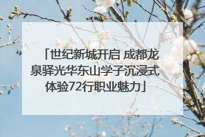 世纪新城开启 成都龙泉驿光华东山学子沉浸式体验72行职业魅力