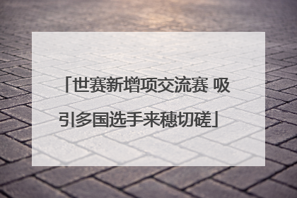 世赛新增项交流赛 吸引多国选手来穗切磋