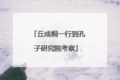 丘成桐一行到孔子研究院考察