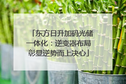 东方日升加码光储一体化：逆变器布局彰显逆势而上决心