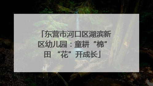 东营市河口区湖滨新区幼儿园：童耕“棉”田 “花”开成长