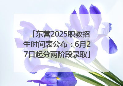 东营2025职教招生时间表公布：6月27日起分两阶段录取