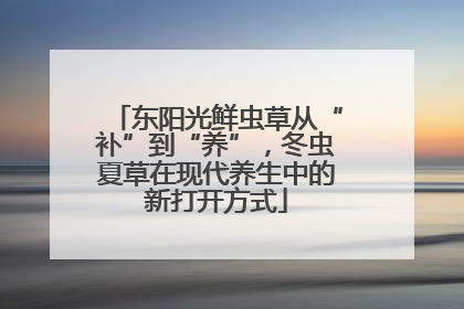 东阳光鲜虫草从“补”到“养”，冬虫夏草在现代养生中的新打开方式