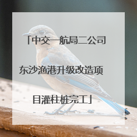 中交一航局二公司东沙渔港升级改造项目灌柱桩完工