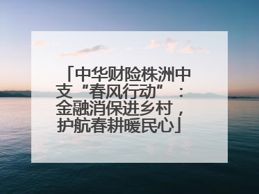 中华财险株洲中支“春风行动”：金融消保进乡村，护航春耕暖民心