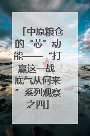 中原粮仓的“芯”动能——“打赢这一战 底气从何来”系列观察之四
