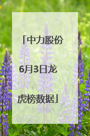 中力股份6月3日龙虎榜数据