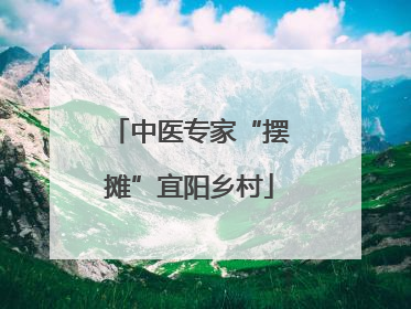 中医专家“摆摊”宜阳乡村