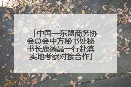 中国—东盟商务协会总会中方秘书处秘书长鹿德晶一行赴滨实地考察对接合作