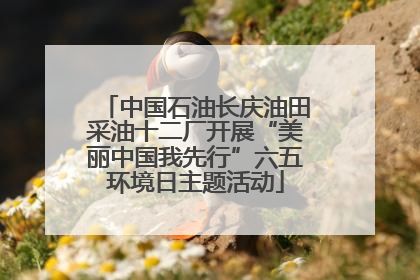 中国石油长庆油田采油十二厂开展“美丽中国我先行”六五环境日主题活动