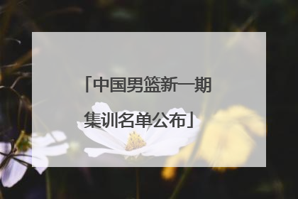 中国男篮新一期集训名单公布