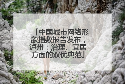 中国城市网络形象指数报告发布，泸州：治理、宜居方面的双优典范