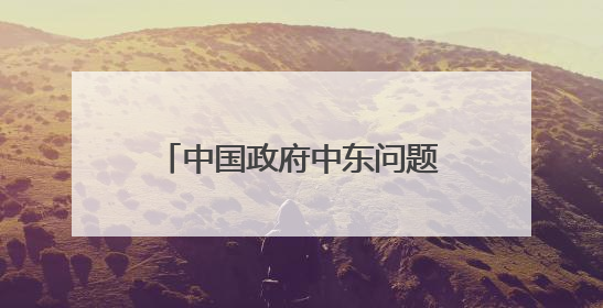 中国政府中东问题特使翟隽访问埃及