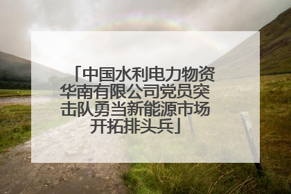 中国水利电力物资华南有限公司党员突击队勇当新能源市场开拓排头兵