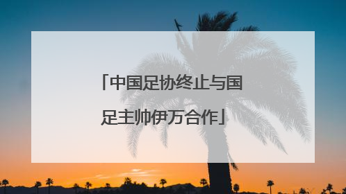 中国足协终止与国足主帅伊万合作