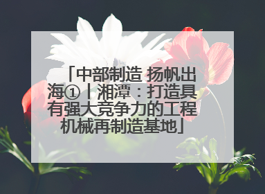 中部制造 扬帆出海①丨湘潭：打造具有强大竞争力的工程机械再制造基地