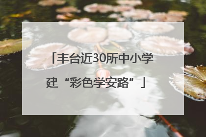 丰台近30所中小学建“彩色学安路”