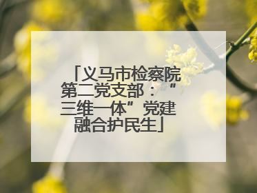 义马市检察院第二党支部：“三维一体”党建融合护民生