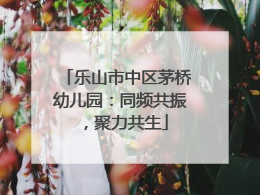 乐山市中区茅桥幼儿园：同频共振，聚力共生