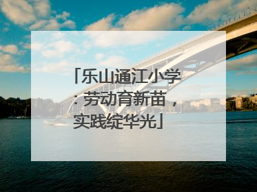 乐山通江小学：劳动育新苗，实践绽华光