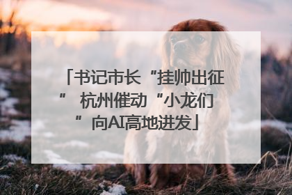 书记市长“挂帅出征” 杭州催动“小龙们”向AI高地进发