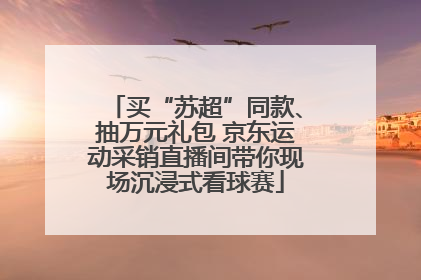 买“苏超”同款、抽万元礼包 京东运动采销直播间带你现场沉浸式看球赛