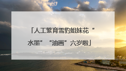 人工繁育雪豹姐妹花“水墨”“油画”六岁啦