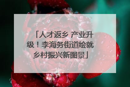 人才返乡 产业升级！李海务街道绘就乡村振兴新图景