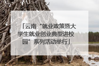 云南“就业政策暨大学生就业创业典型进校园”系列活动举行