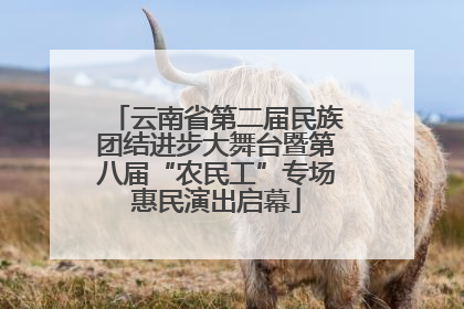 云南省第二届民族团结进步大舞台暨第八届“农民工”专场惠民演出启幕